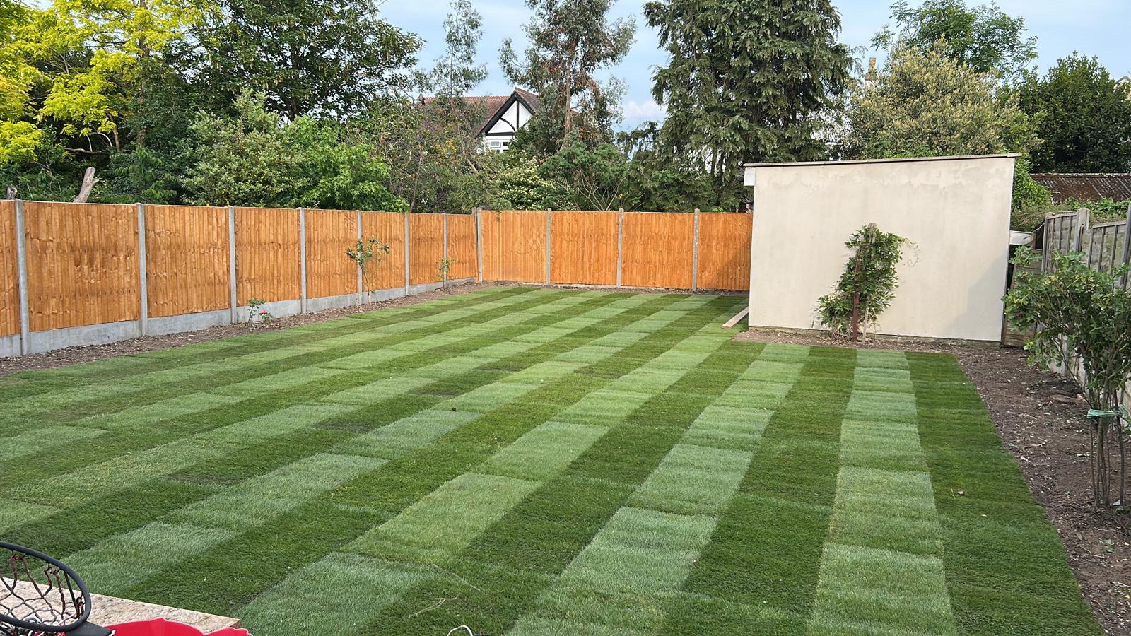 Professional tree trimming and garden design